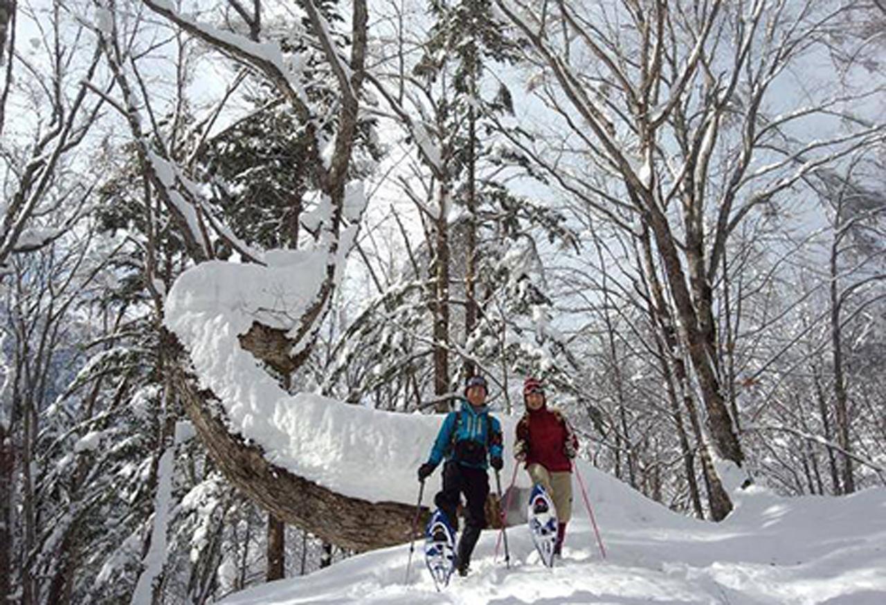 Resort Inn Chirorian Takajama Kültér fotó